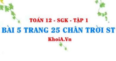 Bài 5 trang 25 Toán 12 Tập 1 Chân trời sáng tạo